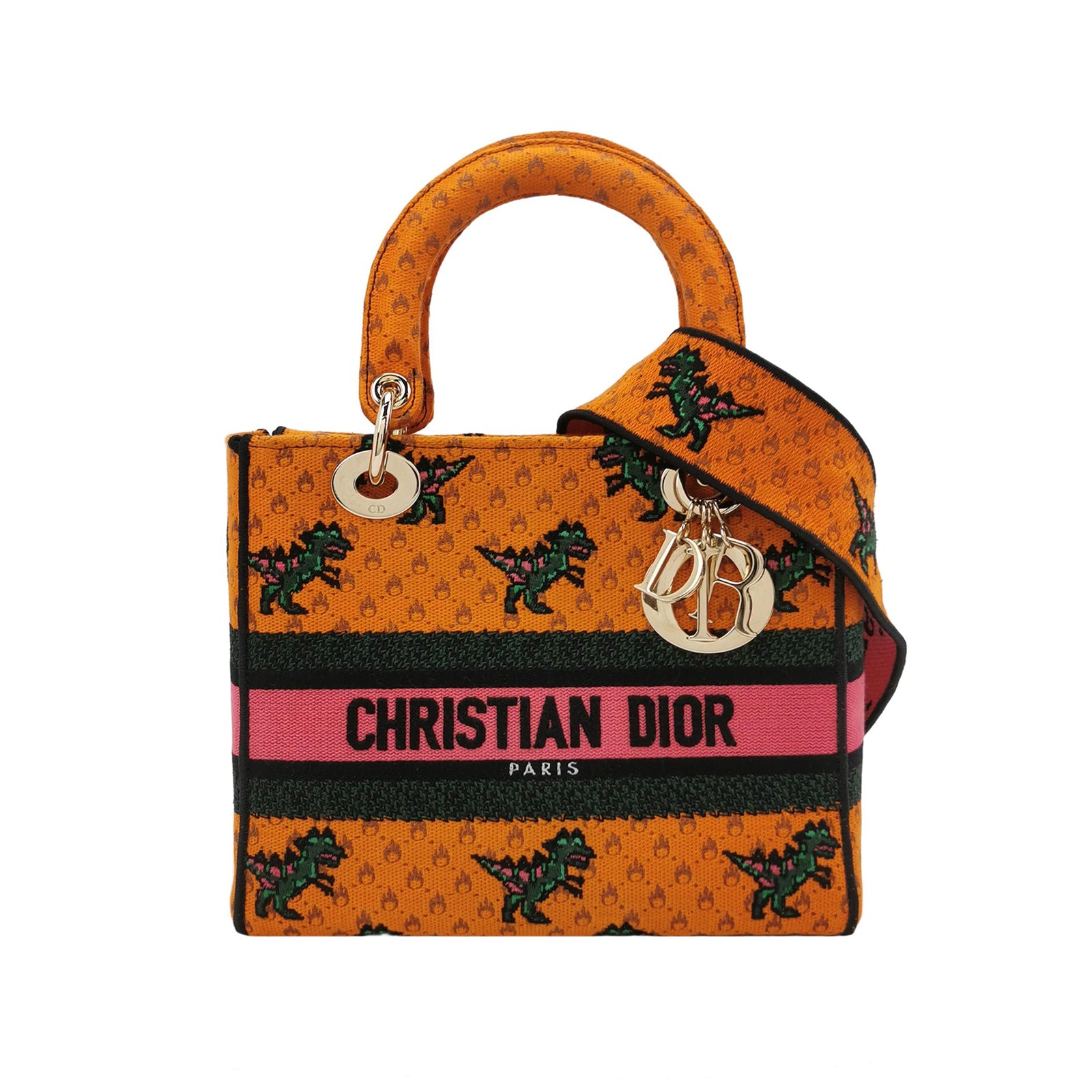Lady Dior Medium Canvas Logo