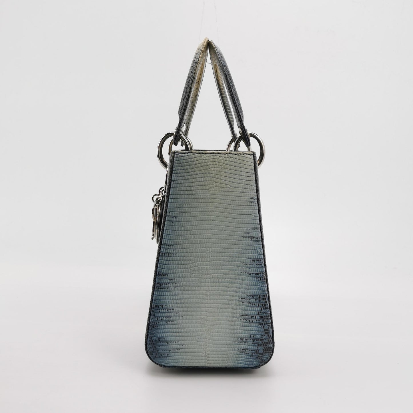 Lady Dior Medium Logo