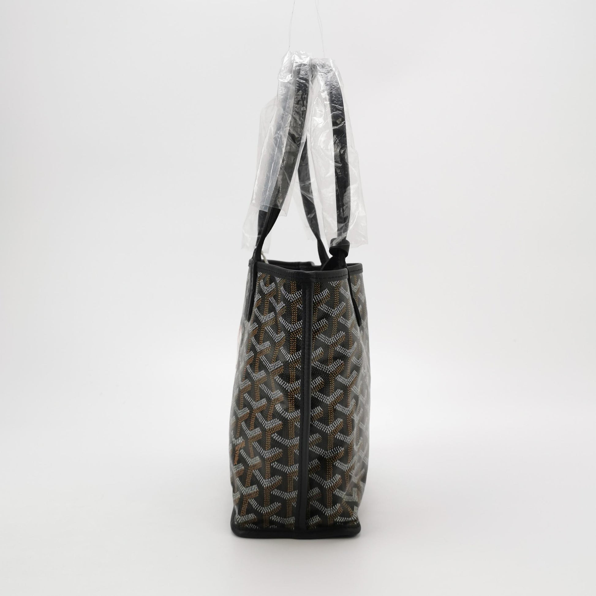 Anjou Canvas Y