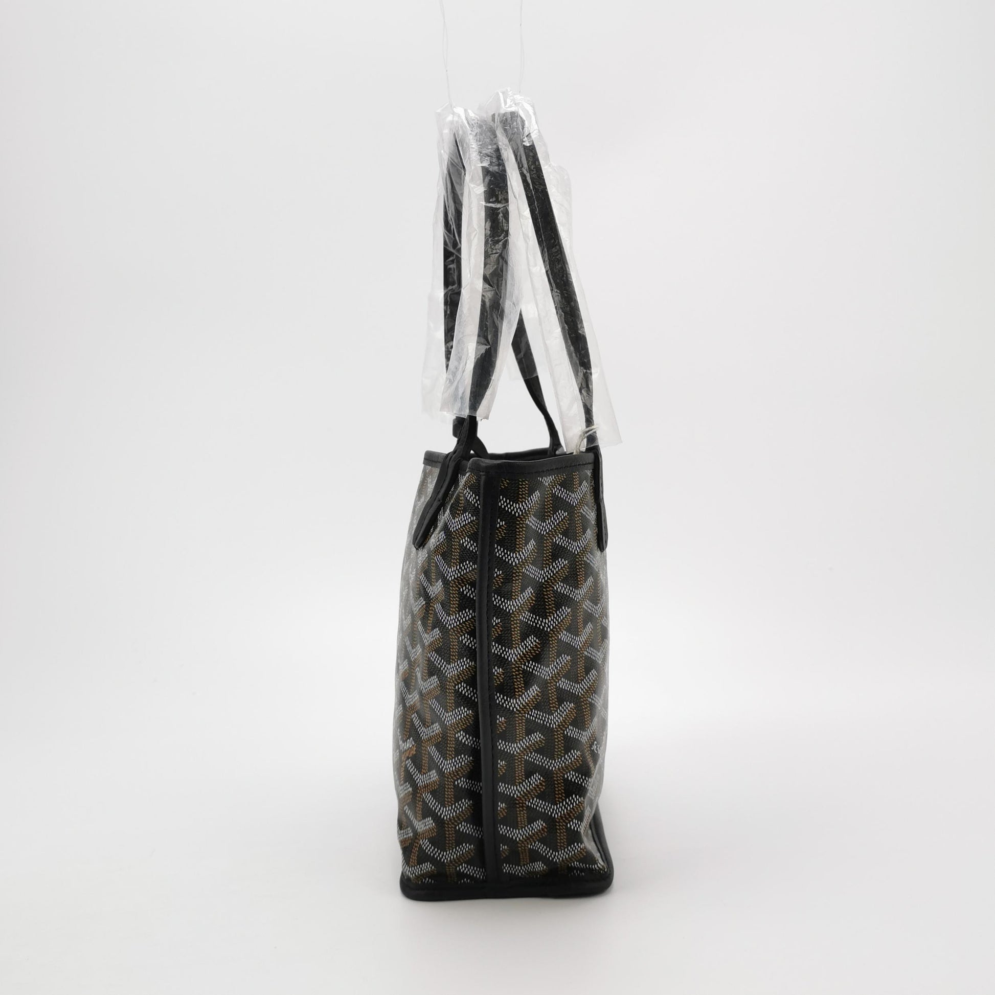 Anjou Canvas Y