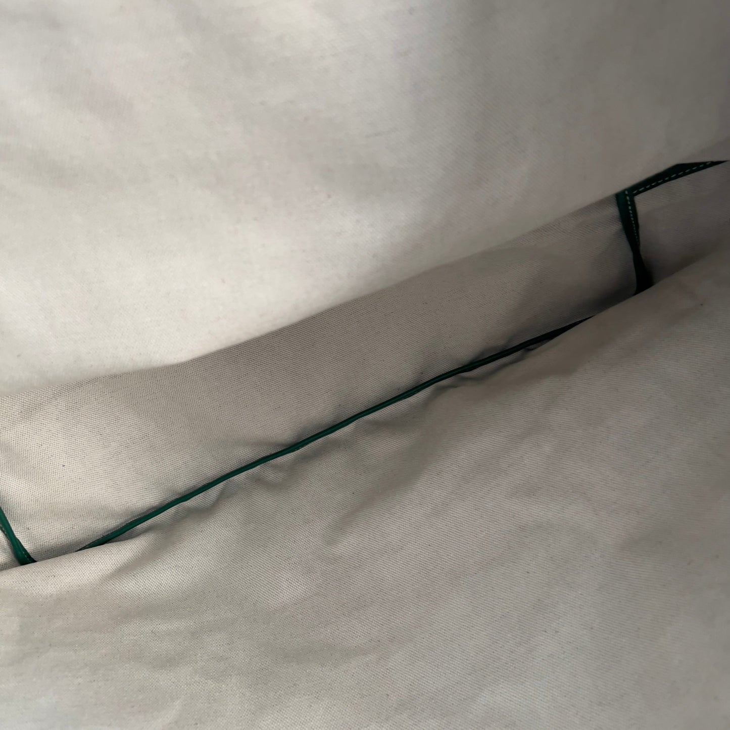 NWOT! Goyard St. Louis GM Green tote