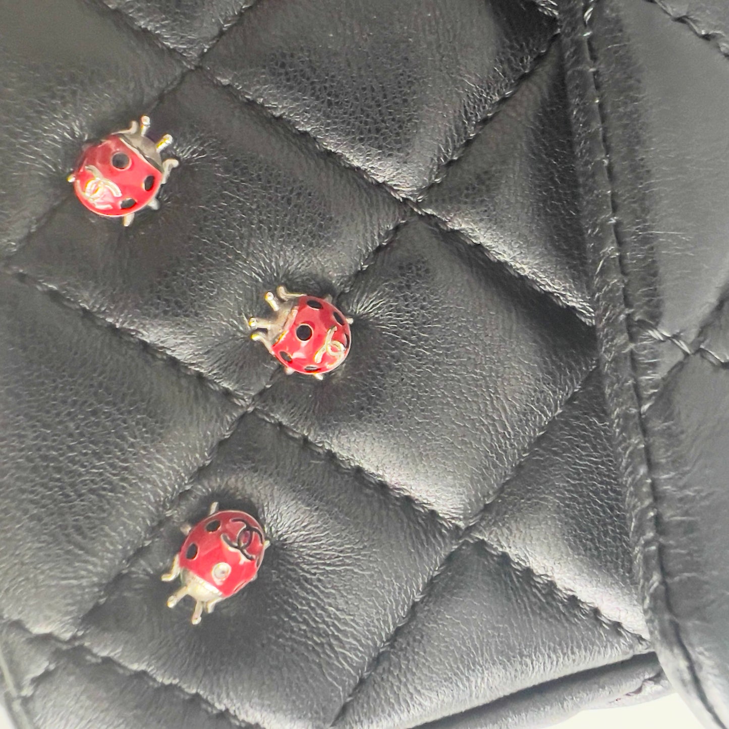 Vintage Chanel Ladybug Flap Bag