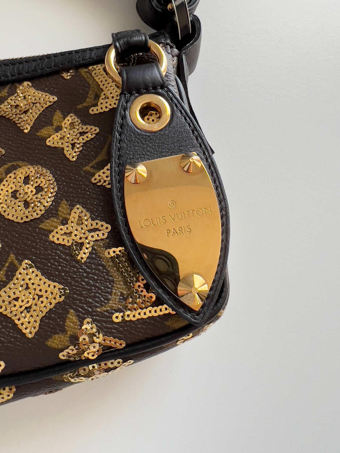 Louis Vuitton monogram eclipse pochette accessories big size